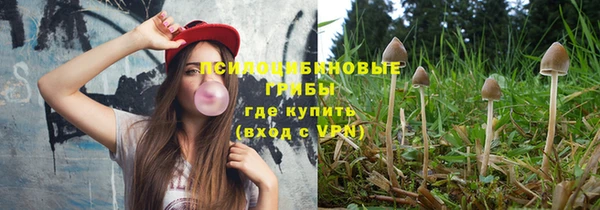 гидра Алзамай