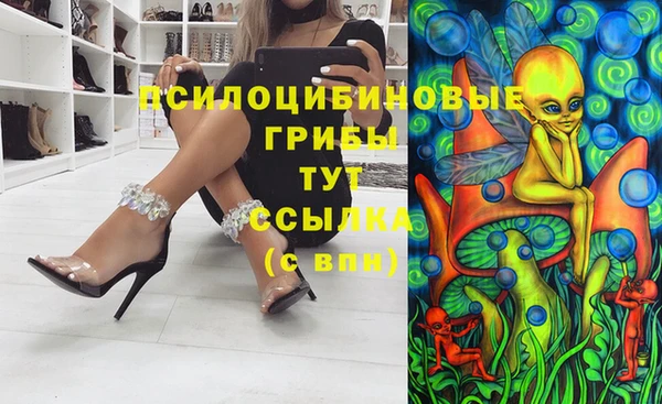 тгк Алексеевка